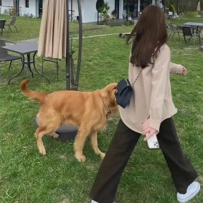 中国鸟人